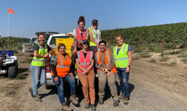 Students explore modern agriculture tech with new WSU IAREC internship