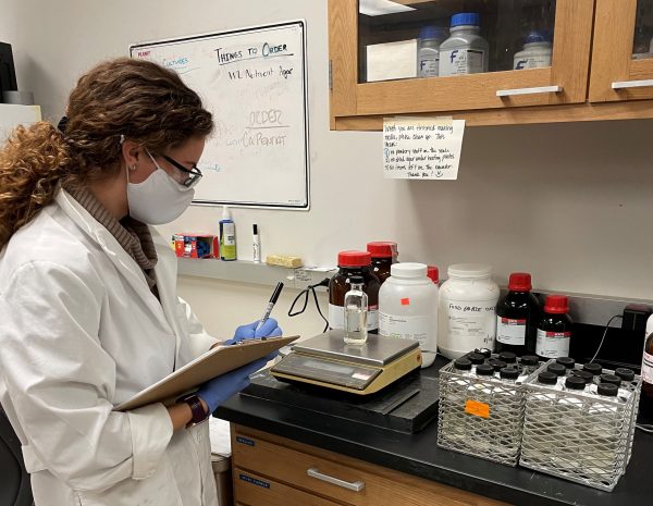 Wild Washington yeast strains might be beneficial for winemakers