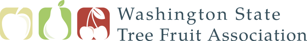 Vaccine verification plan in place for Washington state event  