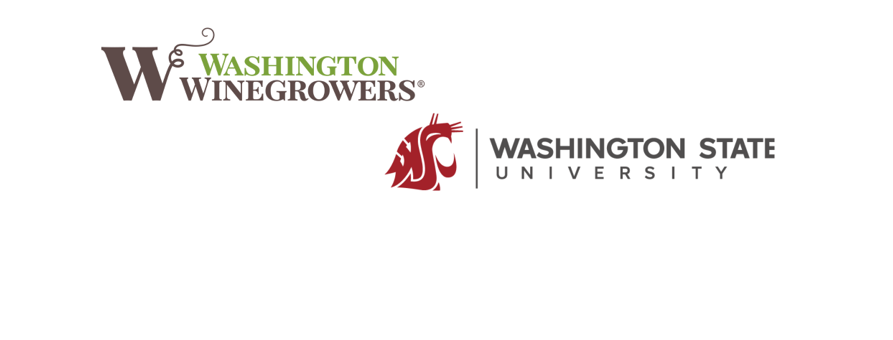 Washington Winegrowers Association to hold food safety webinar