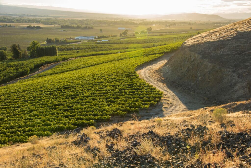 Registration for Washington Wine research seminar now open