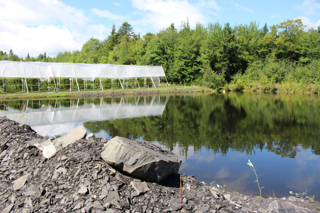 EPA amends wetlands protection rules