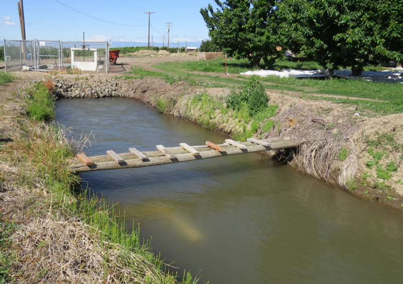 Figure 1. Ideal sampling point low bridge, cut grass, away from eddying point. Photos: WTFRC