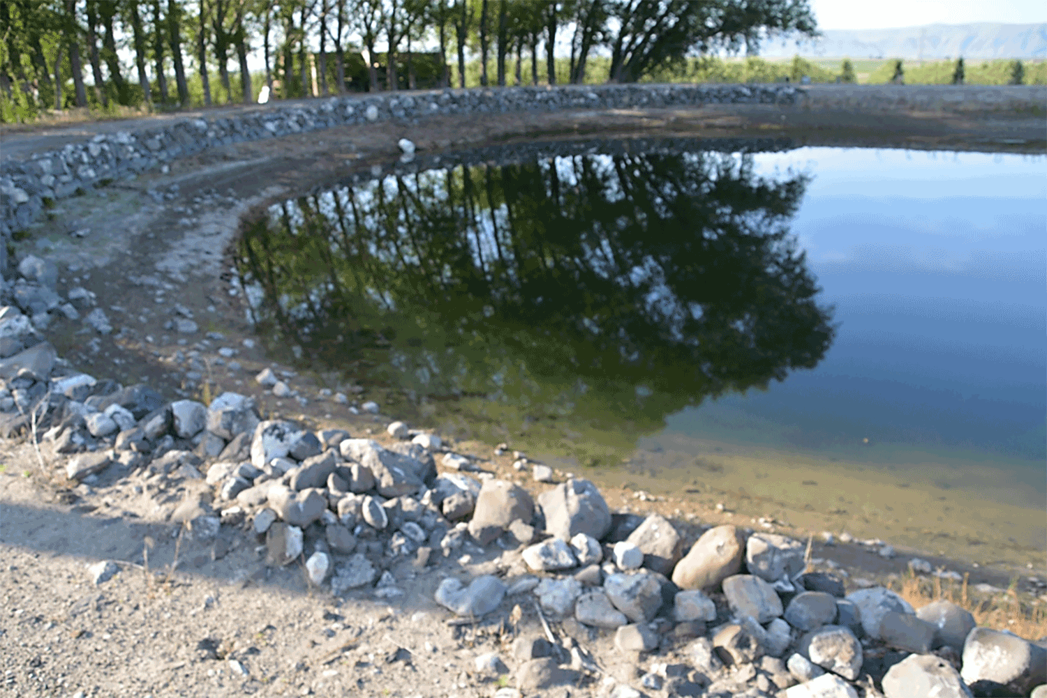 Figure 3. Pond or reservoir with algal growth.