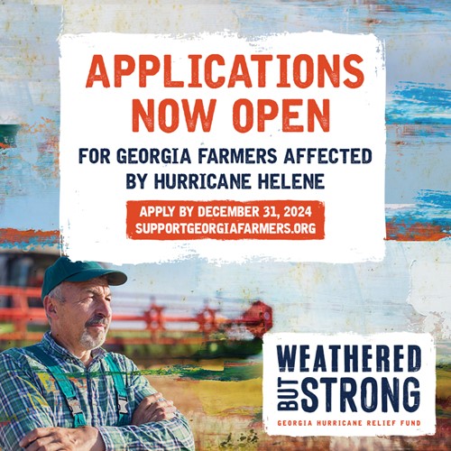 Weathered But Strong Georgia Hurricane Helene disaster recovery application 