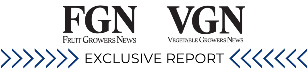 H2A Work Visa Programs Head Honchos