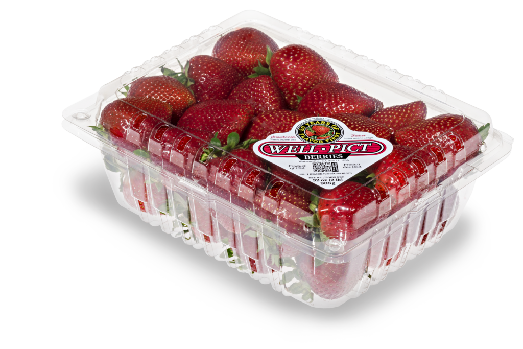 Well-Pict debuts disease-resistant strawberry varieties