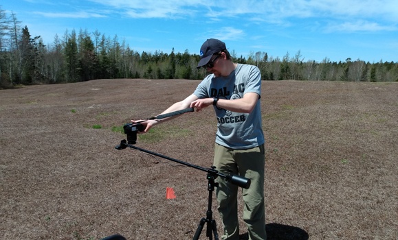 Smart tech makes farming blueberries cheaper, more environmentally friendly