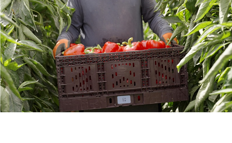 Former FDA official joins Wiliot as traceability advisor