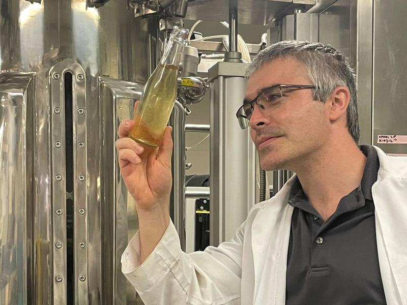 UF researchers help wineries capitalize on carbonation craving
