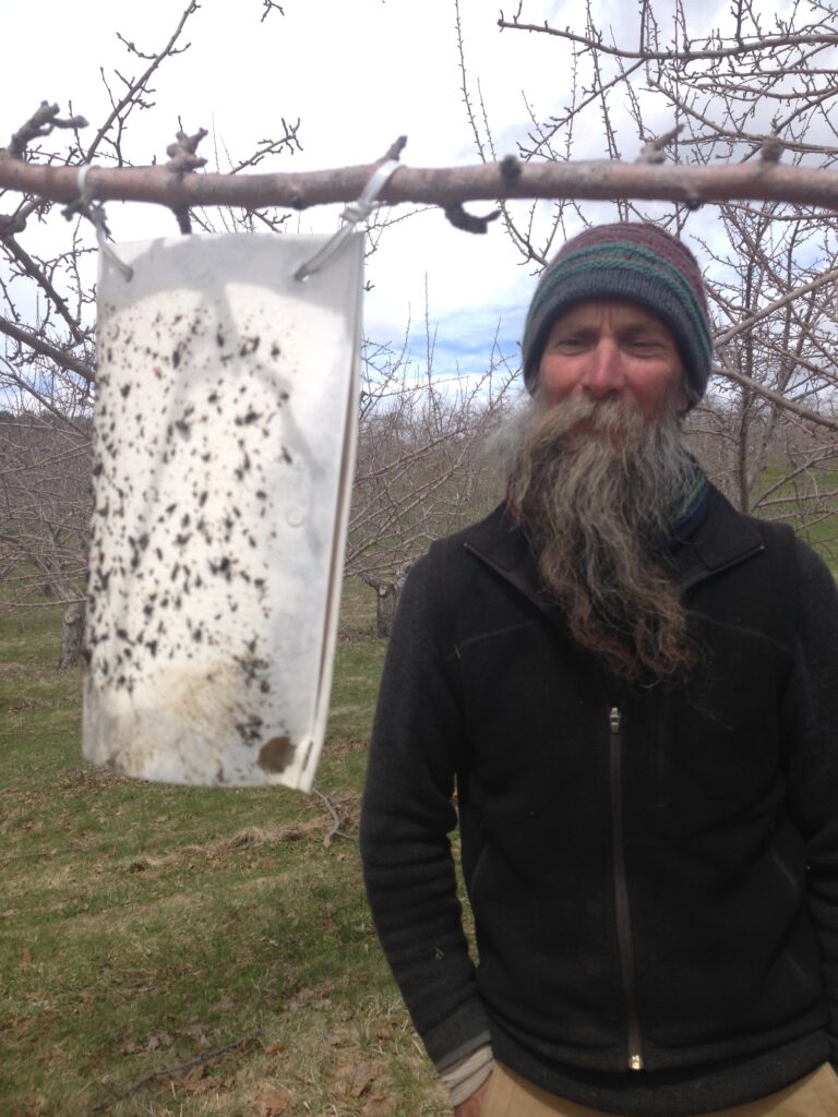 Funding set for research on impacts of sustainable fruit production