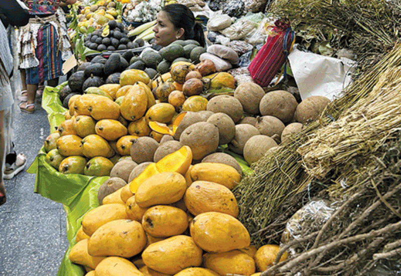 USAID panel participation leads to Guatemalan trip