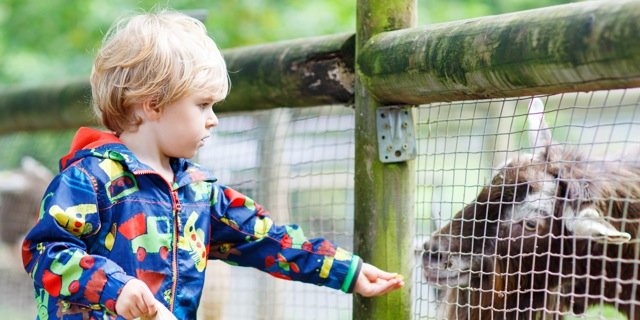 Michigan agritourism surveyed about disease prevention practices