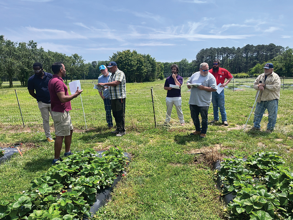 A group of people standing in a field