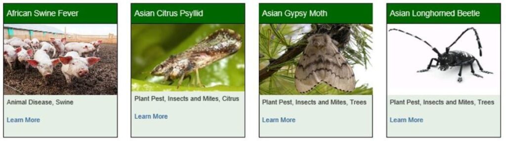 New webpage makes info on ag pests, disease more accessible