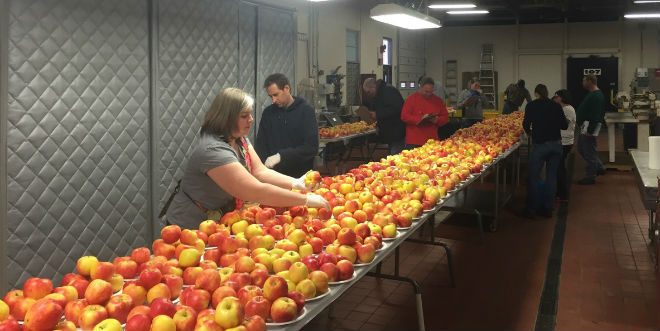 NNYADP apple pest research shows IPM value