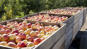 5 takeaways from the June 2026 AppleTracker report