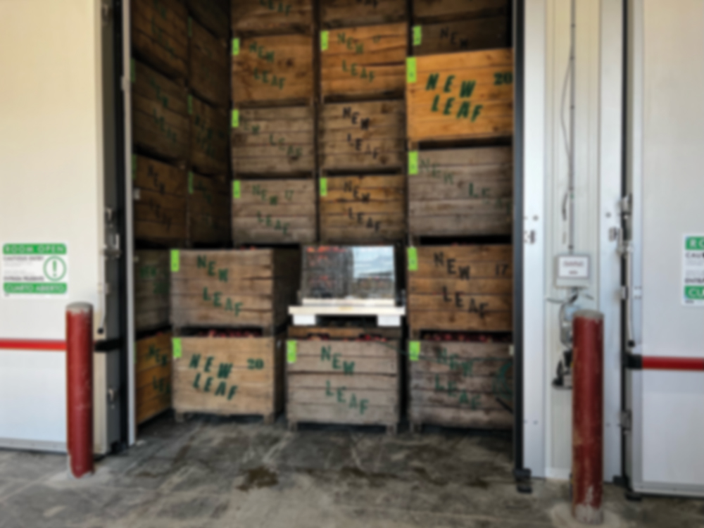 Controlled atmospheric apple storage has become a common industry practice 100 years afer its first implementation in England. Apples are stored in sealed rooms at low temperatures, low oxygen levels and low carbon dioxide levels. Photo courtesy of Storage Control Systems.