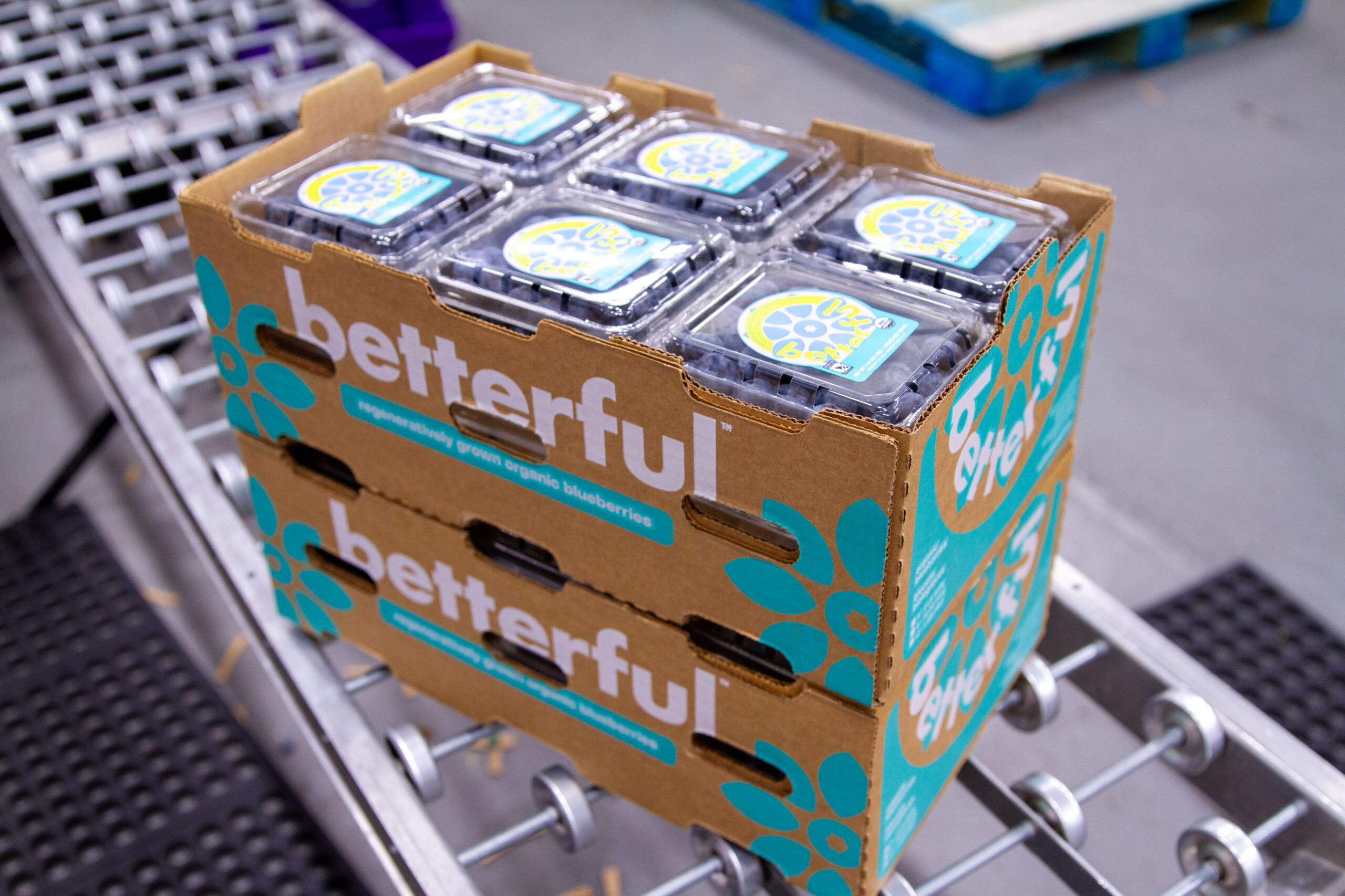 blueberries on the packing line at betterful