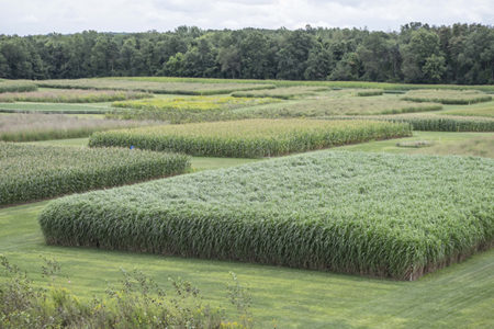 2022 NAS Prize in Food & Agriculture Sciences goes to David Lobell