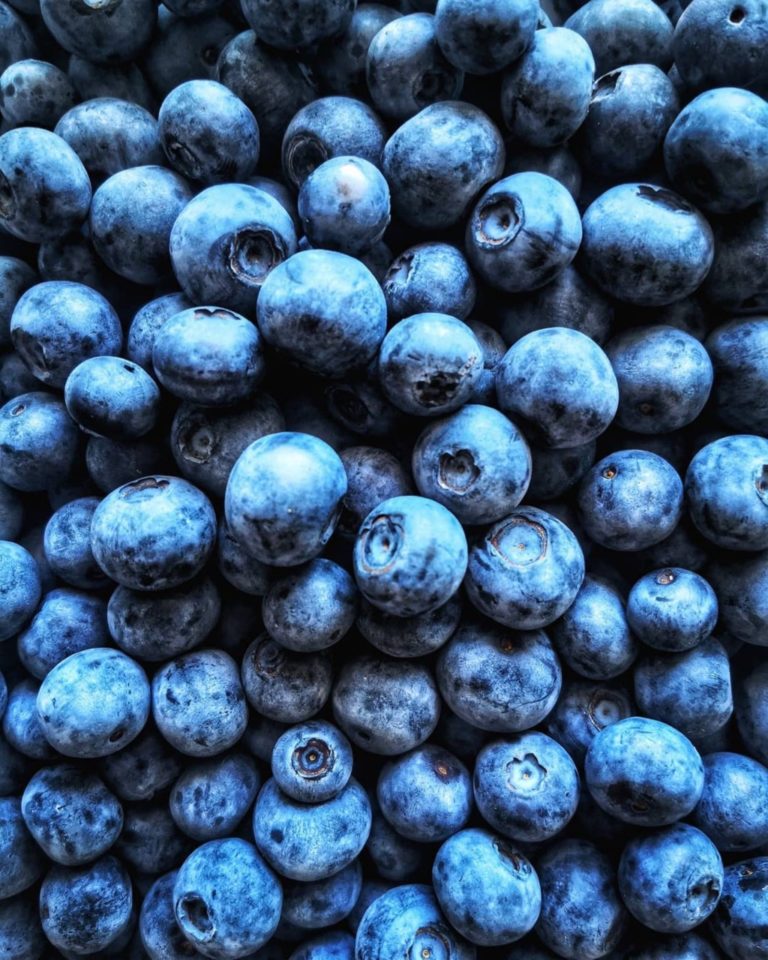 Michigan blueberry orchard and facilities purchased