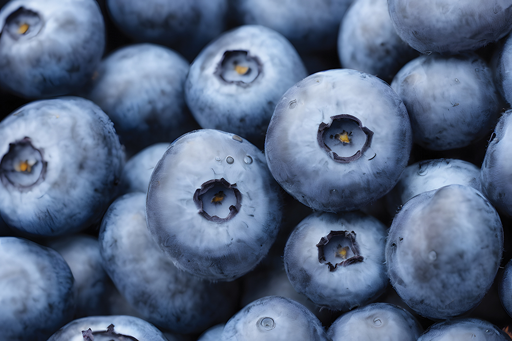 Blueberry industry releases national impact study