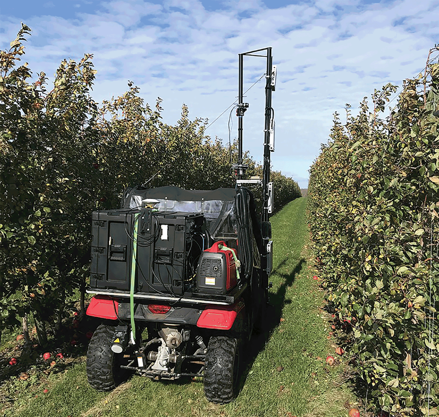 bud counting technology