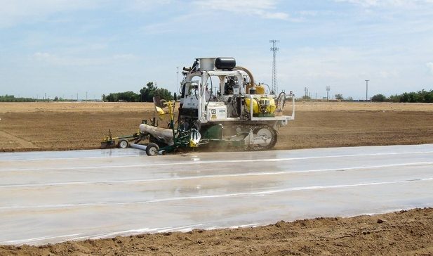 Some soilborne pathogens can be controlled with lower than the maximum label rate of soil fumigants.