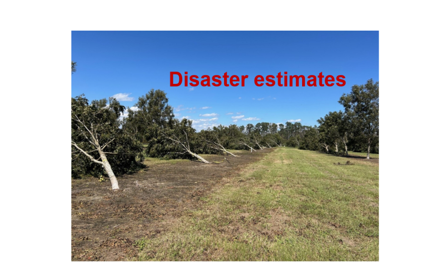 Hurricane Helene causes $6 billion in damage to Georgia agriculture