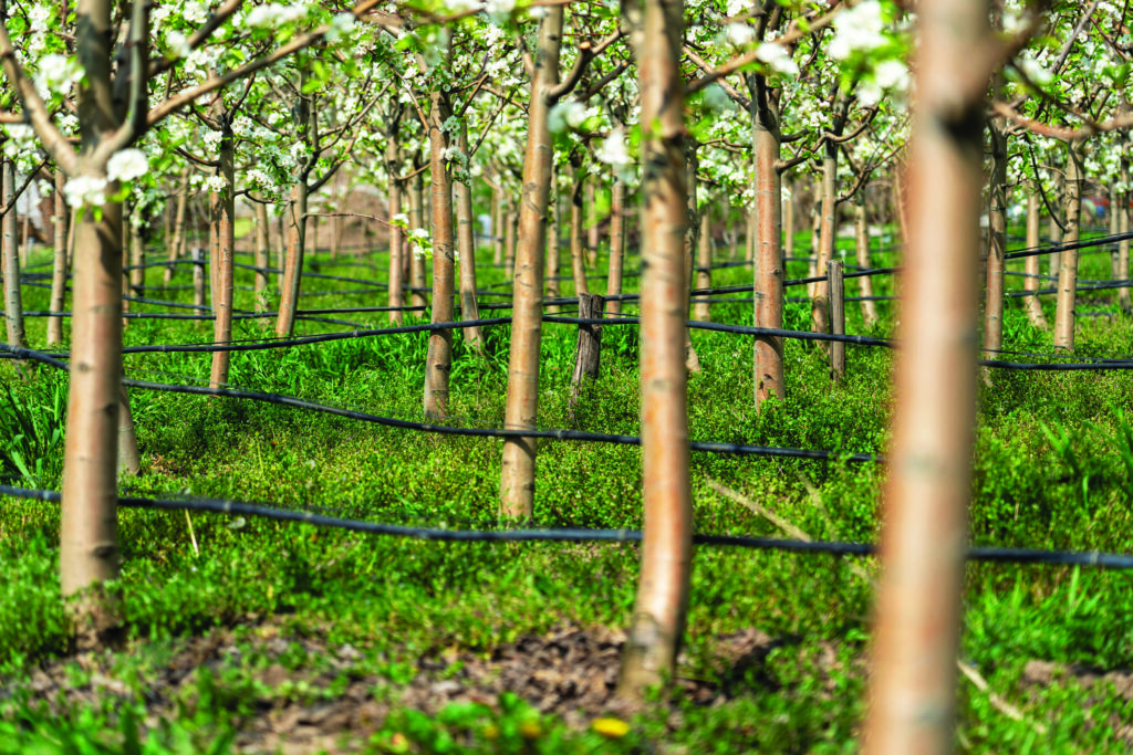 Conserving water: Group defines Farm Bill irrigation needs