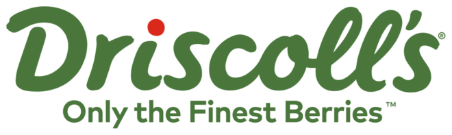 Behind-the-scenes look at Driscoll’s blackberry development