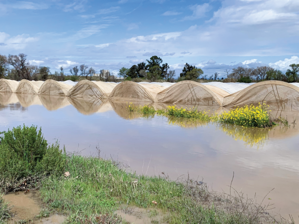 California farms statewide hit by storms and floods