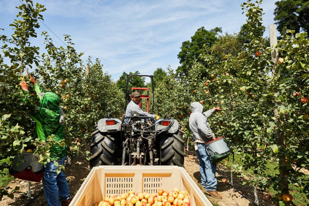 UPDATED: Trump comments on farmworkers’ status
