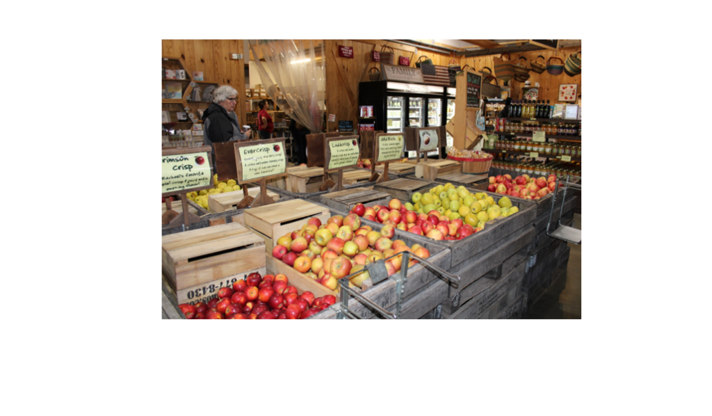 Farm market challenges: Labor, input costs drive farm market pricing