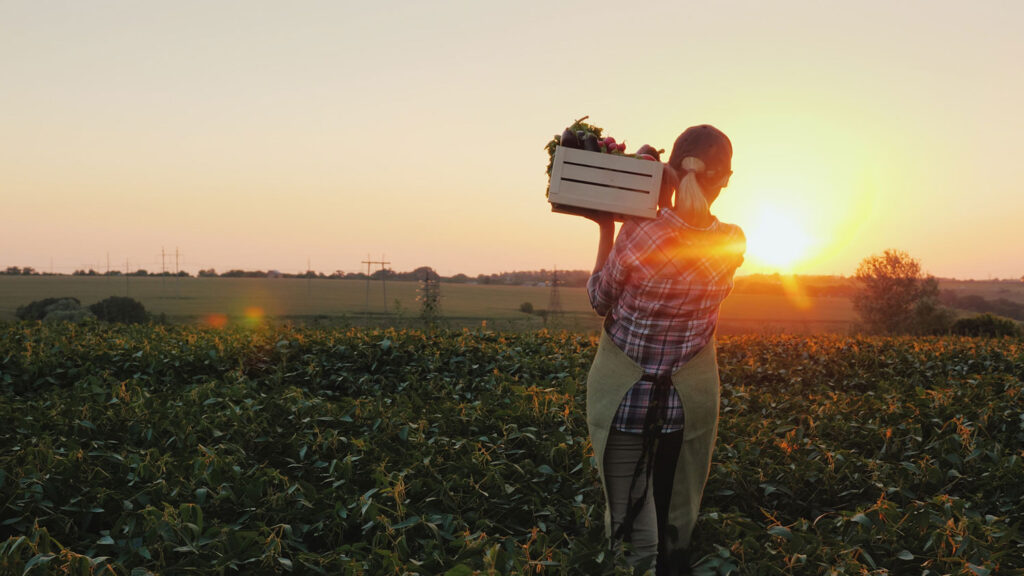 UF/IFAS connects small-scale growers with digital marketing tools