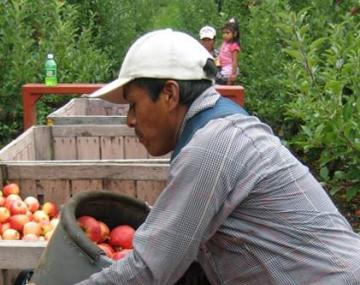 Grant expands Cornell Farmworker Program efforts