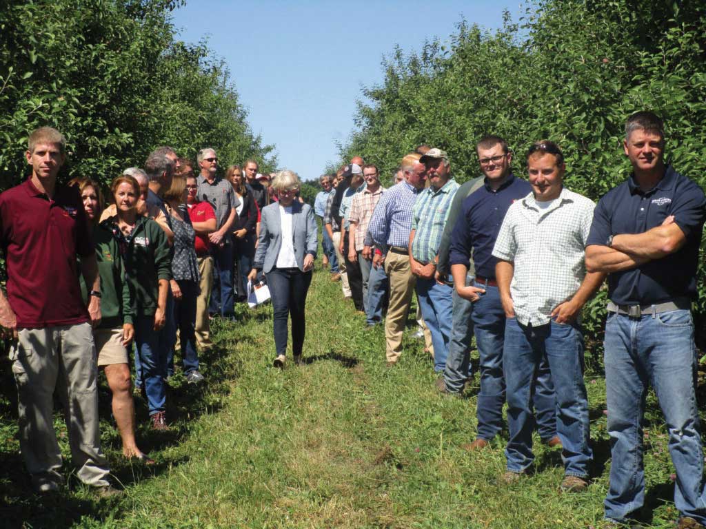 New York apple growers star in marketing push