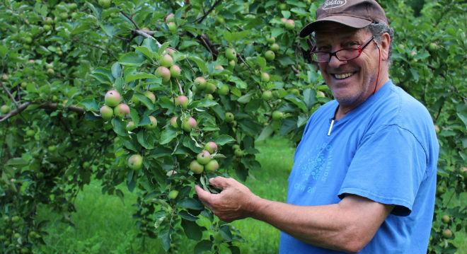 Wood leads rebirth of New England hard cider
