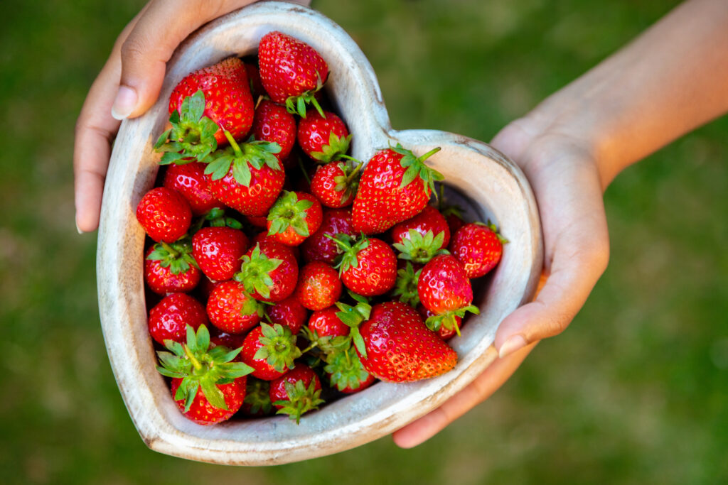 New study shows why strawberries must keep (their) cool