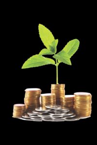 A green bud on top of a pile of gold and silver coins, set against a black background