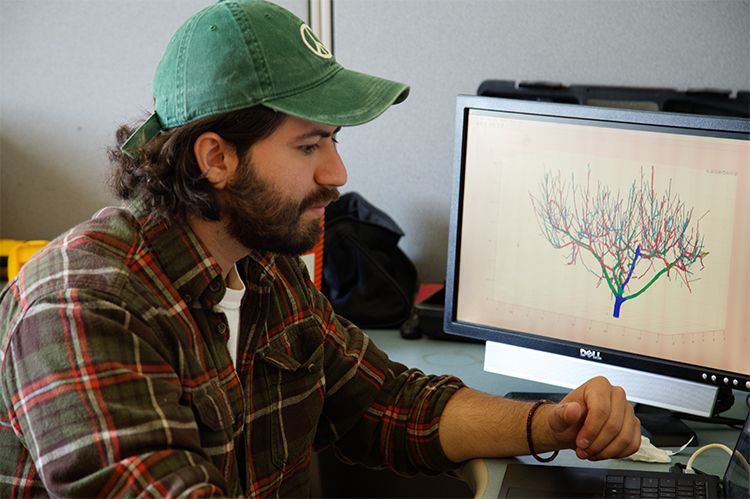 UGA student maps peach trees in detail with laser scanners