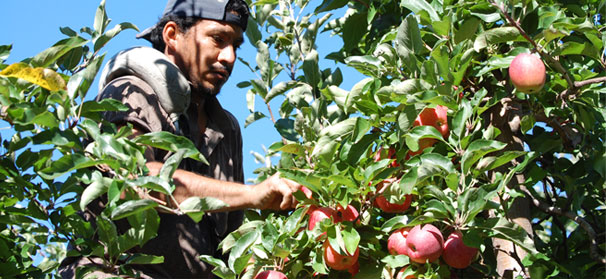 Michigan Civil Rights Commission seeks reversal of migrant worker ruling