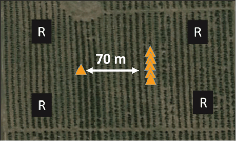 line-trapping experiment schematic