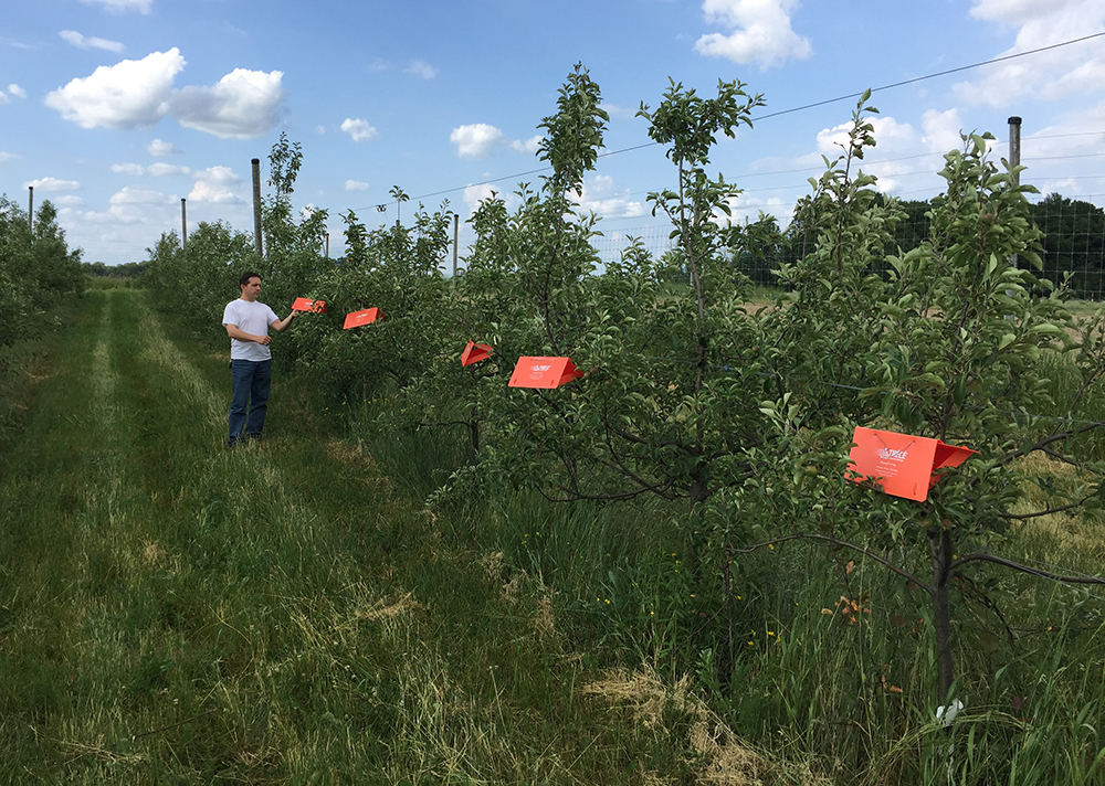 Line trapping: a promising method for more accurate pest monitoring
