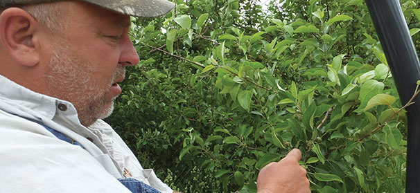 Minnesota farm focuses on local sales