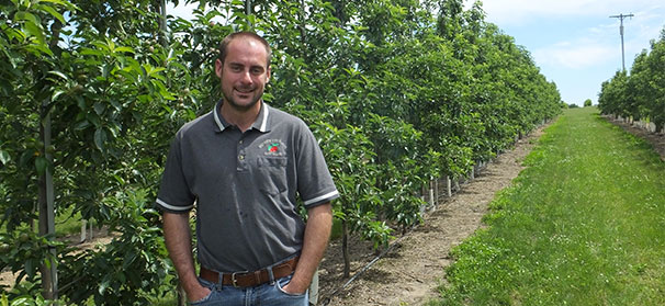 Northwest Michigan tries hand at apples