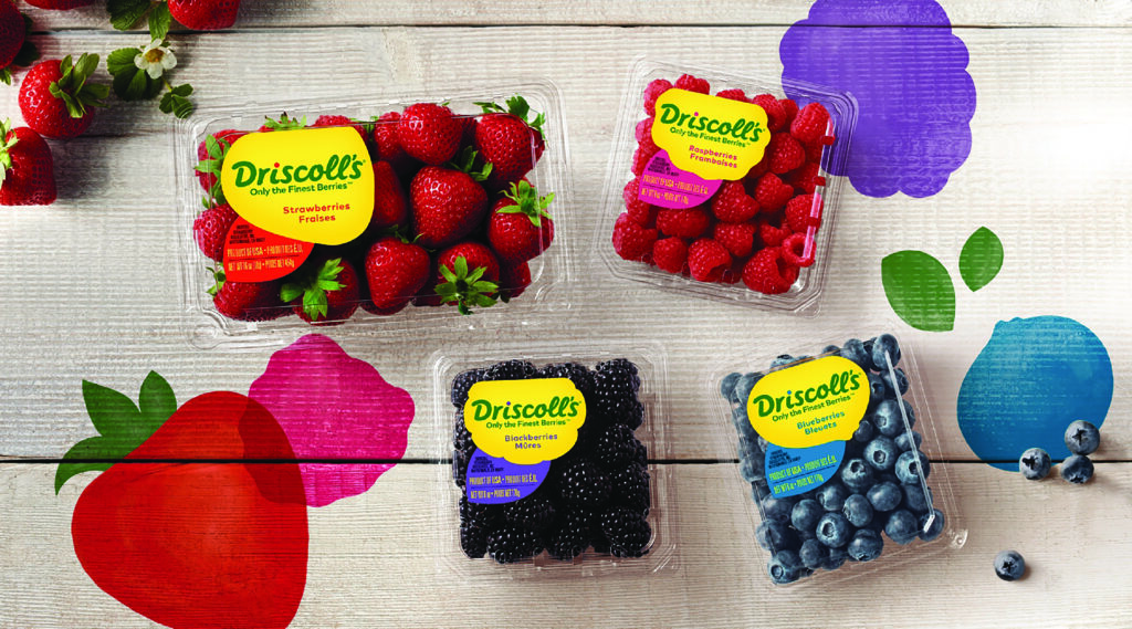 Driscoll’s reports a digital marketing success