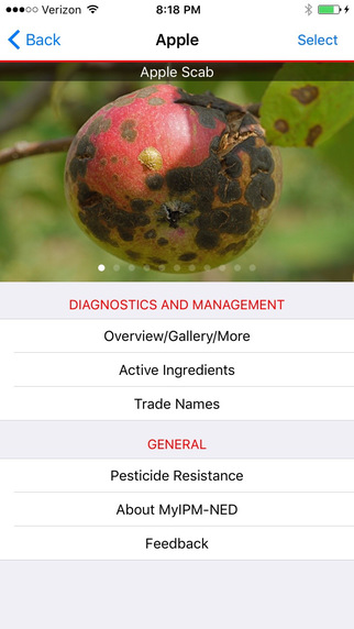 Clemson smartphone apps tackle fruit diseases, pests
