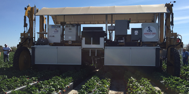 Harvest CROO Robotics strawberry harvester nears fruition