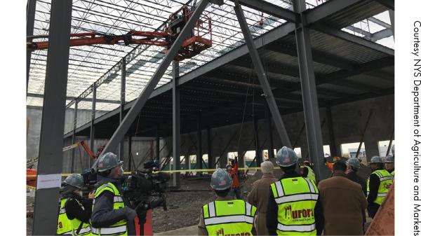 NYS Food Hub will improve access to healthy foods, support farmers